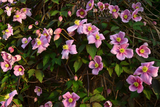 1343861 (a): :2560x1706
